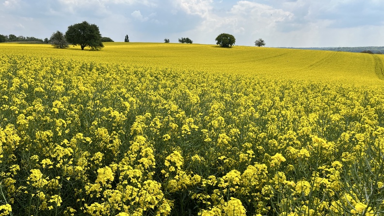 22-05-02 13-44-01 0727.jpg